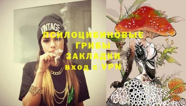стаф Кодинск